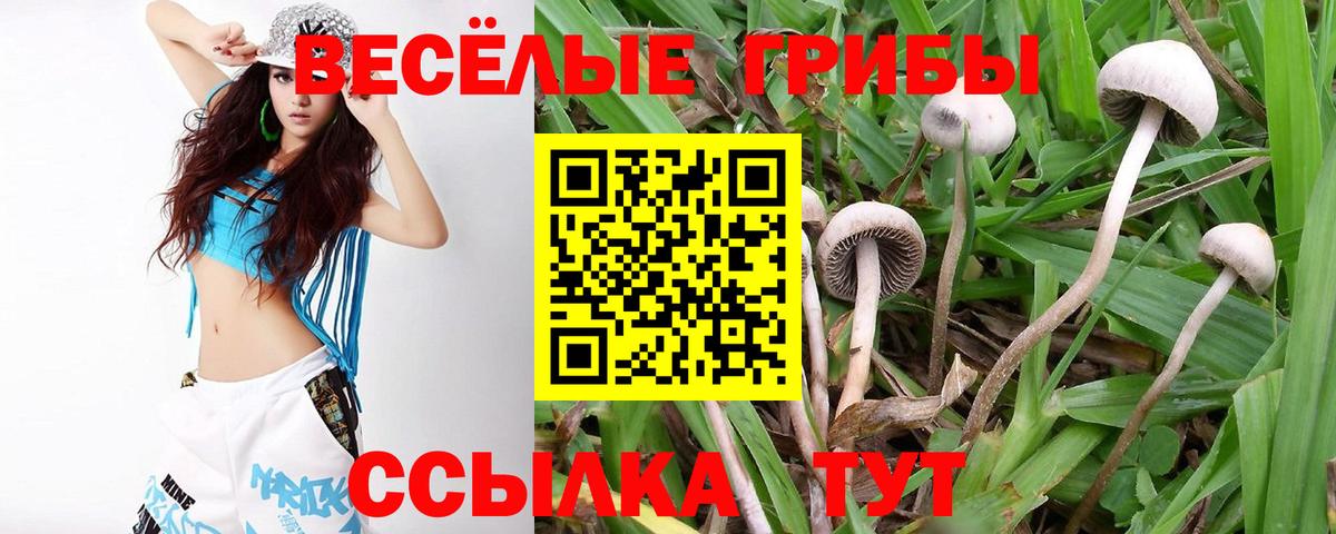 Галлюциногенные грибы MAGIC MUSHROOMS  Вход с VPN  Таганрог 