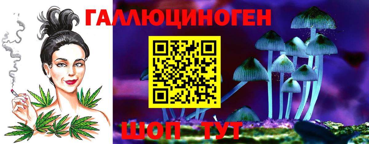 Псилоцибиновые грибы Psilocybe Таганрог